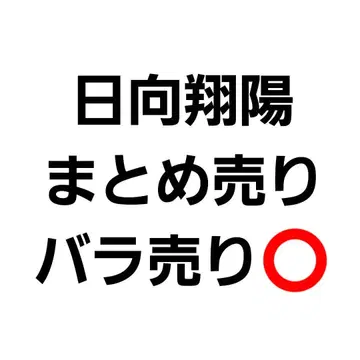 히나타 쇼요 묶음 판매 낱개 판매