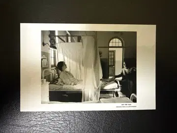 낙하의 왕국 입장 특전 카드