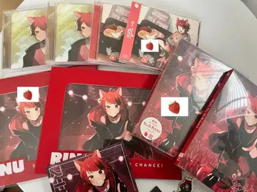 리이누군 셔터 찬스 묶음 판매