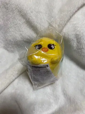 SKZOO 미니 백참 포가리