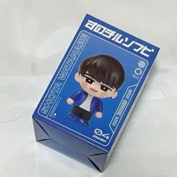 Snow Man 스노우맨 돔 투어 굿즈 소프트 비닐 와타나베 쇼타