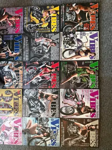 VIBES 바이크 22권