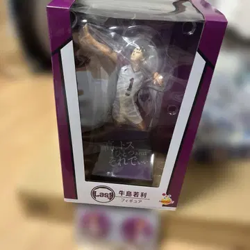 하이큐!! 우시지마 와카토시 피규어와 캔뱃지 세트