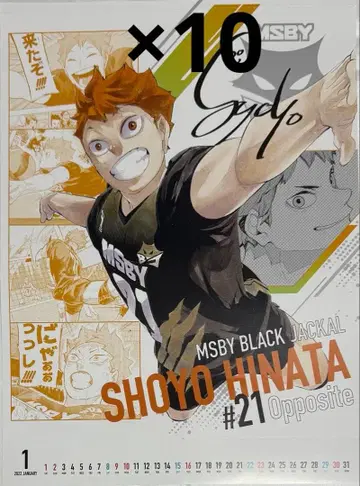 하이큐 달력 2022 포스터 히나타 쇼요