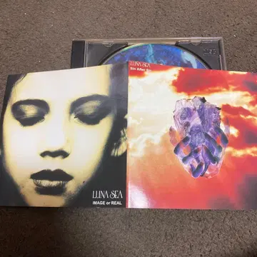 LUNA SEA 라이브 DVD 해외반 2 타이틀 수록