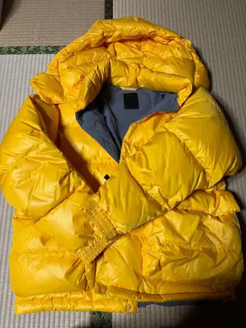 DAIWA PIER39 TECH BACKPACKER DOWN PARKA