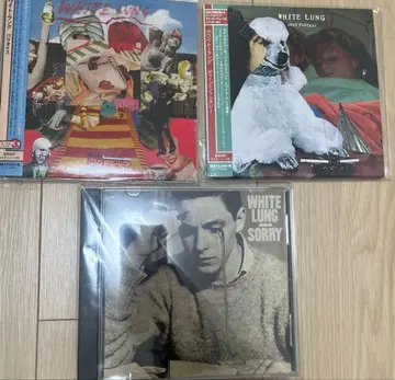 WHITE LUNG 앨범 세트