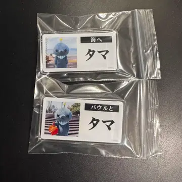 교육 방송 호메호메 카페 명찰풍 배지 타마 파울과 바다로