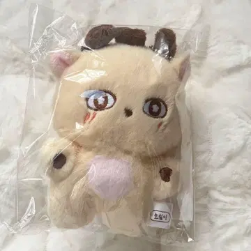 박지훈 생일 MD 봉제 인형