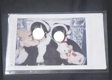 집사와 메이드 시오카 마사무네 네코네코네코는 크리스마스 폴라로이드