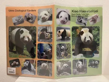 우에노 동물원 자이언트 팬더 샤오샤오 레이레이 클리어 파일