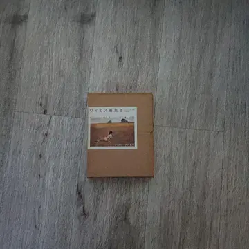 사이보즈 문고 에세이집 CHRISTINA'S WORLD