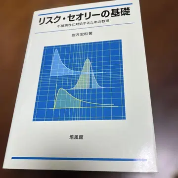 리스크 띠어리 기초 이와사와 히로카즈 저