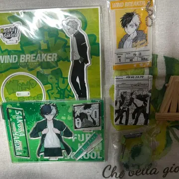 WIND BREAKER 사쿠라 하루카 묶음 판매