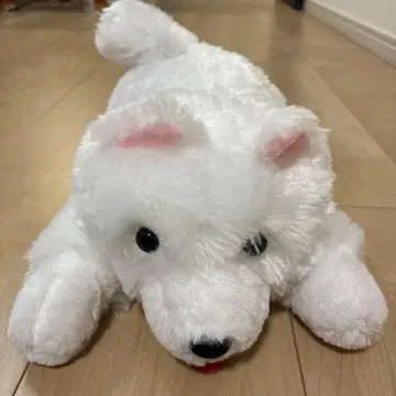 사모예드 군 늘어뜨린 봉제 인형