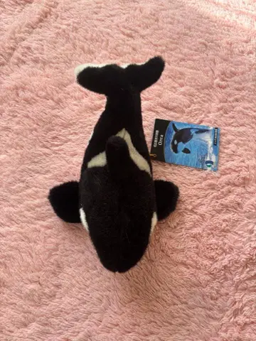 범고래 봉제 인형 (나고야항 수족관)