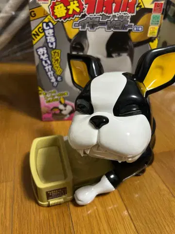 반켄가오가오 Iggy Ver. 피규어