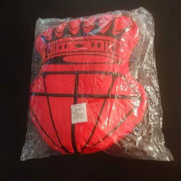 동방신기 LIVE TOUR 2017 다이컷 쿠션