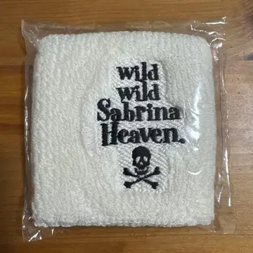 THEE MICHELLE GUN ELEPHANT 리스트 밴드