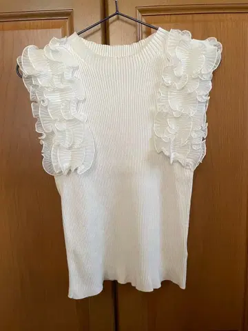 아푸와이저 리셰 슬리브리스 니트