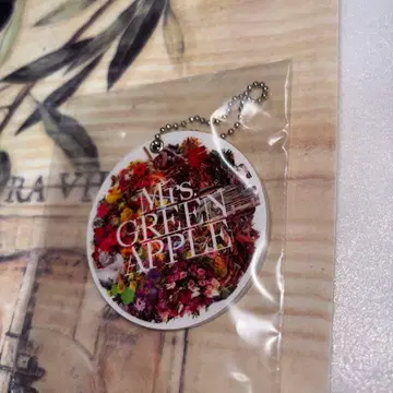 미세스 그린애플 안테나 거울 키링