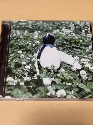 LAB. THE BASEMENT 아카이브 2003-2008