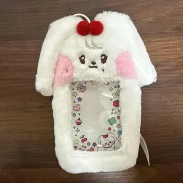 IVE 원영 트레이딩 카드 케이스