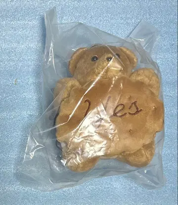 캐러멜 곰 봉제 인형 참