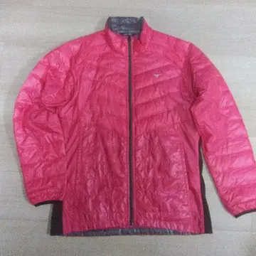 미즈노 블레스모