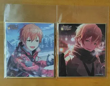 프로세카 미니 색지 컬렉션 53C 아키토 특훈 전 특훈 후