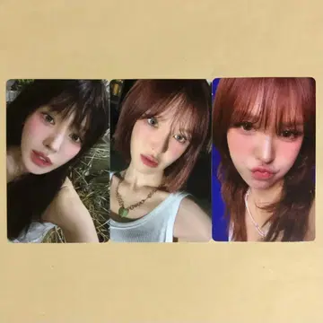 Red Velvet 웬디 포토북 트레이딩 카드 3장 세트