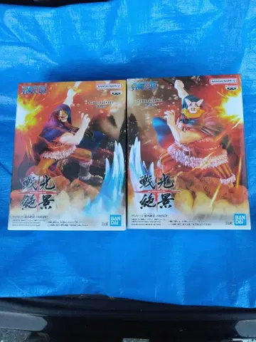 전광절경 브로기 & 도리 2체 세트