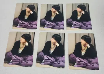 금지 시리 고바야시 치아키 씨 7