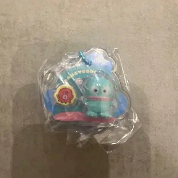 산리오 패키지 참 한교동