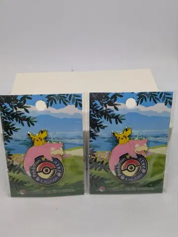 포켓몬 센터 카가와 야돈 핀즈 포켓몬스터 핀 배지