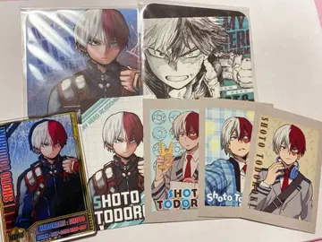 토도로키 쇼토 세트