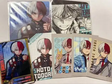 토도로키 쇼토 세트