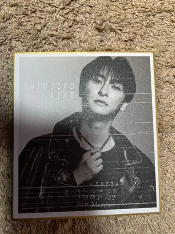 SHINJIRO ATAE 미니 색지