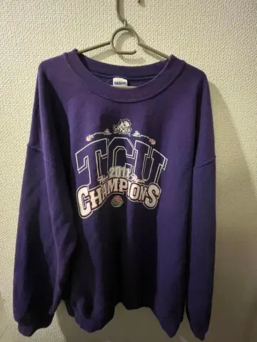 GILDAN Heavy Blend TCU2014 Champions XL
