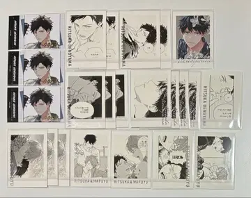 기븐전 아니카페 금박 카드 파샤코레 릿카