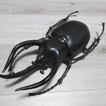 코카서스장수풍뎅이풍 피규어 블랙 약 35cm