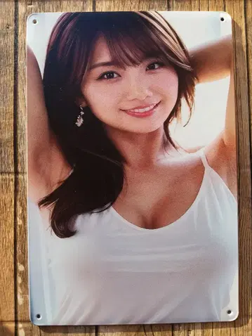 이노우에 세이카 양철 간판 신상 미사용품!