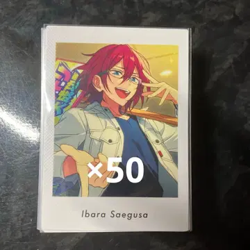 앙스타 파샤츠 사에구사 이바라 vol.5 Private 5P