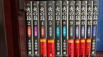 불새 세트 (11권)