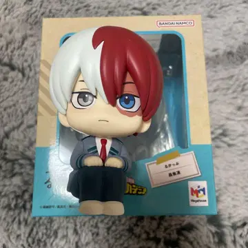 룩업 토도로키 쇼토 나의 히어로 아카데미아