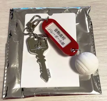 하이큐 트레이딩 고교명 부착 열쇠 참 키링 네코마 고교