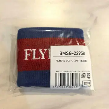 FLYERS 리스트 밴드