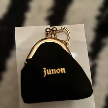 Junon 블랙 코인 케이스 BMSG-23662