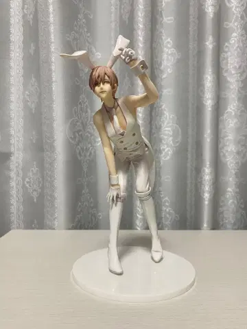 텐카운트 시로타니 피규어 태피스트리