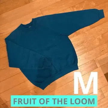 새상품급 90s USA제 프룻 오브 더 룸 래글런 맨투맨 터콰이즈